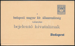 1910 5f Díjjegyes Rendőrségi Bejelentő Lap, Használatlan / Change Of Address PS-card, Unused - Sonstige & Ohne Zuordnung