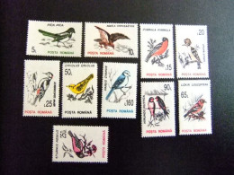 111 RUMANIA  / POSTA ROMANA 1993 / FAUNA PAJAROS  / YVERT 4065 / 4074 ** MNH - Songbirds & Tree Dwellers