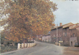 SAINT ZACHARIE (Var): L'Entrée Du Village - Fleuve "L'Huveaune" - Saint-Zacharie