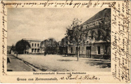 T2/T3 1903 Nagyszeben, Hermannstadt, Sibiu; Naturwissenschaftl. Museum Und Stadttheater / Természettudományi Múzeum, Szí - Ohne Zuordnung