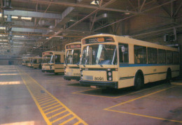 BELGIQUE - Bruxelles - Garage Des Autobus Au Dépôt D'Auderghem - AMUTRA N° 33 - Public Transport (surface)