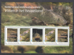 Nederland 2024 Onderwaterwereld : Vissen In Het Heuvelland: Elritsen, Alver, Bermpje - Unused Stamps