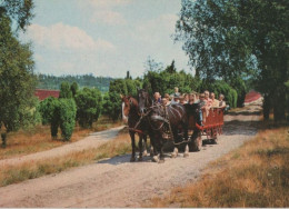 74330 - Lüneburger Heide - Ausfahrt In Der Heidekutsche - Ca. 1980 - Lüneburger Heide