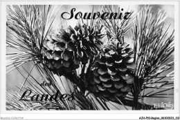 AJHP10-REGION-0858 - SOUVENIR DES LANDES - Aquitaine