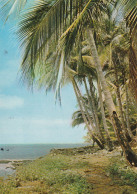 CPM  .  GUYANE FRANCAISE  .  ILES DU SALUT  -  SAINT-JOSEPH    .  CARTE ECRITE AU VERSO - Guyana (ex-Guyane Britannique)