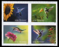 Etats-Unis / United States (Scott No.5848a - Garden Delights Forever Stamps) [**] Bloc Of 4 - Neufs