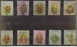 2021 Boomvruchten - Used Stamps