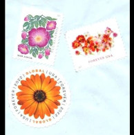 USA: 'Blumen – Gerbera – Zimt-Rose – Tulpen, 2022' / 'Flowers – African Daisy – Wood Rose – Tulips' Sc 5679+5680+5681[*] - Used Stamps