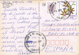 54736. Postal Aerea SALVAOAR De BAHIA (Brasil) 1981. Aeropuerto 2 Julio. Playa De Itapoan - Briefe U. Dokumente