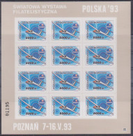 Poland Label - Glider 1993 (F034): Philatelic Exhibition Polska 93 (sheet) - Gliders