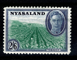 Ref 1640 - Nyasaland 1945 KGVI - 2s/6d Stamp - Growing Tobacco - Mounted Mint SG 154 - Nyassaland (1907-1953)