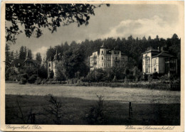 Georgenthal In Thüringen,, Villen Im Schwimmbachtal - Georgenthal