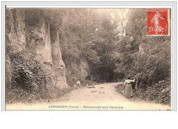 89.APPOIGNY.PROMENADE AUX CARRIERES. - Appoigny