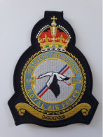 PATCH GROUPE DE CHASSE CIGOGNES – RAF SQUADRON 329 - Fliegerei