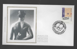 FDC Zijde : Nr 2620 Stempel: 9320 Erembodegem - 1991-2000