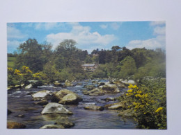 DARTMEET In Dartmoor Forest - Dartmoor