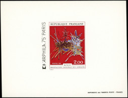 EPREUVES DE LUXE - 1813   Mathieu, TB - Epreuves De Luxe
