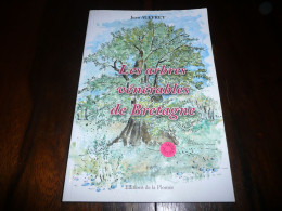 BOTANIQUE JEAN AUFFRET LES ARBRES VENERABLES DE BRETAGNE EDITIONS DE LA PLOMEE 2002 DEDICACE DE L'AUTEUR - Bretagne