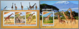 CENTRAL AFRICAN 2023 MNH Giraffes Giraffen M/S+S/S – OFFICIAL ISSUE – DHQ2415 - Giraffen