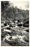 BELGIQUE - Vallée De La Hoegne - Vue Sur Les Cascatelles - Rochers - Vue Générale - Carte Postale Ancienne - Other & Unclassified