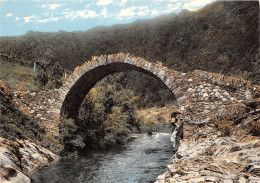 Saumene Le Pont Des Chevres (SCAN RECTO VERSO)MA0034 - Sumène