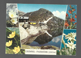 Grimsel Passhöhe Volkswagen Autobus Car Photo Carte Multi View Foto AK Htje - Oberwald