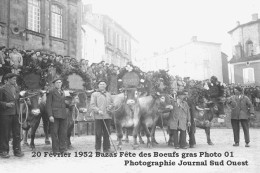 [33] Gironde > Bazas Fete Des Boeufs Gras 20 Février 1952 Photo 02 Reproduction  Photographie Journal Sud Ouest - Bazas