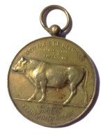 BELGIQUE Médaille Bronze Prov. Hainaut Amélioration De La Race Bovine - Professionals / Firms