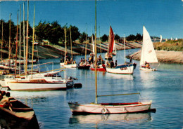 N°889 Z -cpsm île De Ré -école De Voile- - Sailing