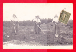 F-64-Anglet-331PA1  Les Soeurs Du Refuge Travaillant Aux Champs, Cpa  - Anglet