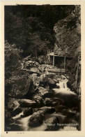 Höllental Schwarzwald, Ravennaschlucht - Höllental