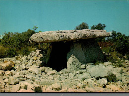 N°983 Z -cpsm Saint Alban Sous Sampzon -un Beau Dolmen- - Dolmen & Menhirs