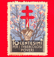 ITALIA - Chiudilettera - Erinnofilo - 1934 - Per I Tubercolosi Poveri - IV Campagna Nazionale - TBC - 10 - Maladies