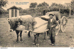 D64 LES PYRÉNÉES Attelage Béarnais - Bearn