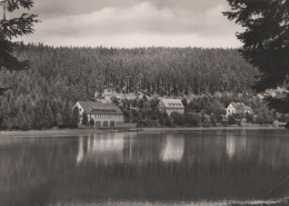 16733 - Frankenhain - Lütsche Talsperre In Thüringen - Ca. 1965 - Frankenhain