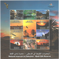 Palestine - 2023 Nature Reserve Wadi Qilt Birds Landscapes Tree - Palästina
