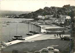 83* ST CYR SUR MER   PORT  CPSM (10x15cm)             MA66-0443 - Saint-Cyr-sur-Mer