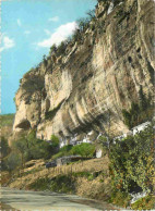 24 - Les Eyzies - Grotte Du Grand Roc - Entrée Au Pied De La Falaise - Mention Photographie Véritable - Carte Dentelée - - Les Eyzies