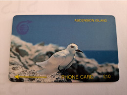 ASCENSION ISLAND/ GPT CARD /   10 Pound Bird Stern  2CASB   MINT Old  Logo C&W **16502** - Ascension