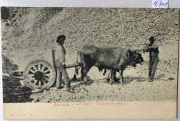 Carrara - Le Cave Trasporto Merce - Ca 1900 (16'701) - Carrara