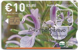 Cyprus - Cyta (Chip) - Herbs - Rosemary, 06.2008, 10€, 50.000ex, Used - Chypre