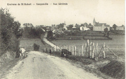 Environs De Saint Hubert Vesqueville  Vue Generale - Saint-Hubert