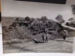 Cartolina Sardegna, Ritmo Tranquillo Della Vita 1953 - Other & Unclassified