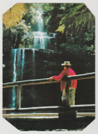 Australia TASMANIA TAS Waterfalls RUSSELL FALLS Murfett 8P8044 Postcard C1970s - Wilderness
