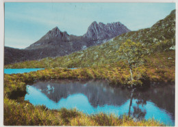Australia TASMANIA TAS Wilderness CRADLE MOUNTAIN & DOVE LAKE Murfett P8065 Postcard C1970s - Wilderness