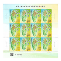 CHINA 2023-22 Ann 50th Breeding World First Hybrid Rice Stamp Full Sheet - Neufs
