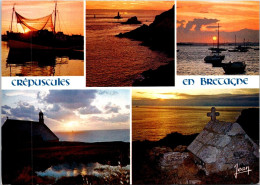 14-4-2024 (2 Z 5) France - Crépuscule En Bretagne (posted 1980's) - Fischerei