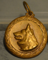 Médaille T. C. H. L. 1988 The Most Sympathetic - Pour Un Chien - Unternehmen