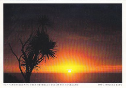 AK 212789 NEW ZEALAND - Sonnenuntergang über Bethell's Beach Bei Auckland - New Zealand