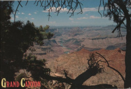 49315 - USA - Grand Canyon - 1991 - Gran Cañon